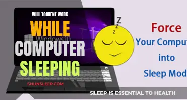 Can Torrent Work While Your Computer Sleeps?
