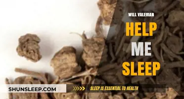 Valerian Root for Sleep: Natural Remedy or Myth?