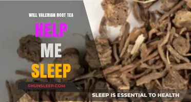 Valerian Root Tea: A Natural Sleep Aid or Myth?