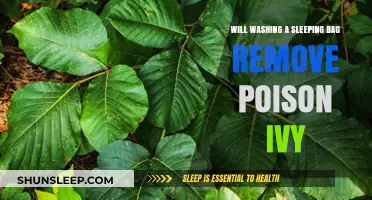 Washing Bag to Remove Poison Ivy: Does it Work?