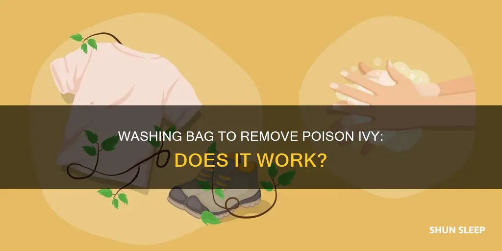 will washing a sleeping bag remove poison ivy