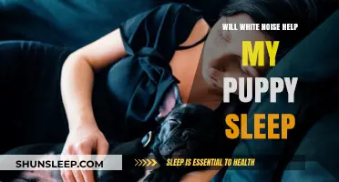 White Noise for Puppies: Can It Improve Your Pup's Sleep?