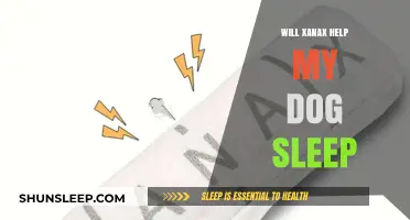 Can Xanax Safely Aid Your Dog's Sleep? Vet Insights