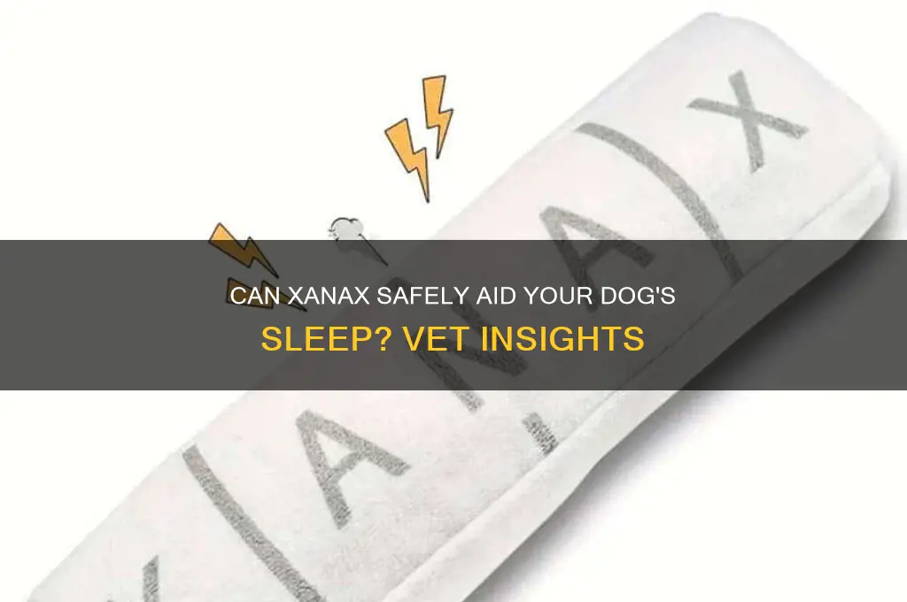 will xanax help my dog sleep