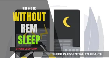 The Mystery of REM Sleep: Is It Deadly?