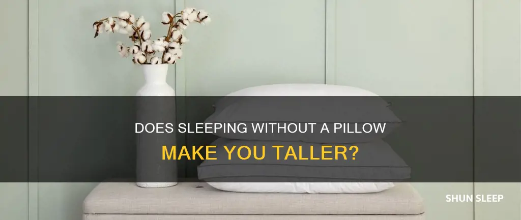 will you grow taller if you sleep without a pillow