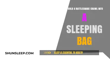 Sleeping Bags: Safe from Rattlesnakes?