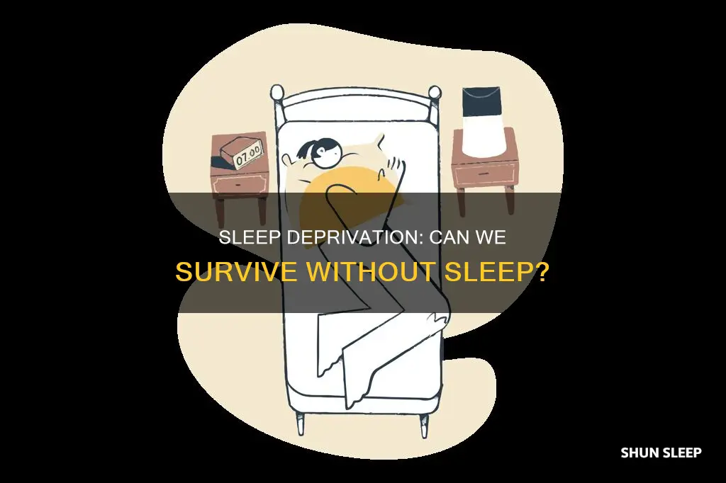 would we die without sleep